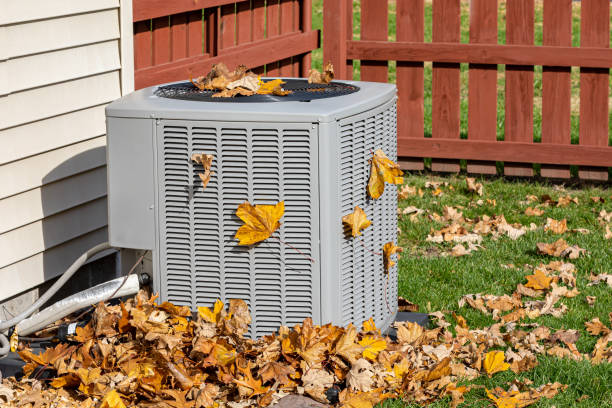 Best HVAC Equipment and Components in Royalton, IL